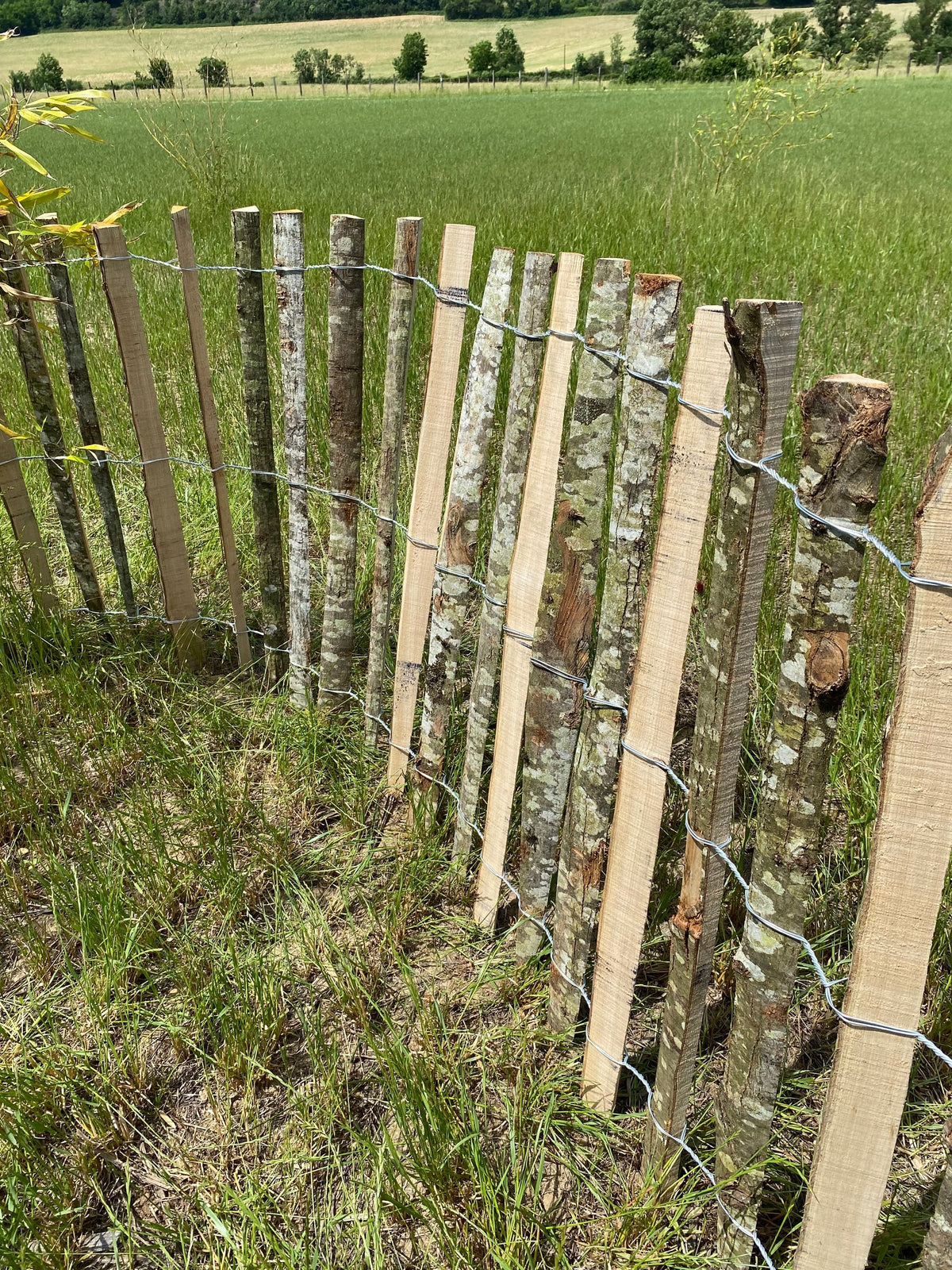 Ganivelle sciée non écorcée en châtaignier – Clôture naturelle