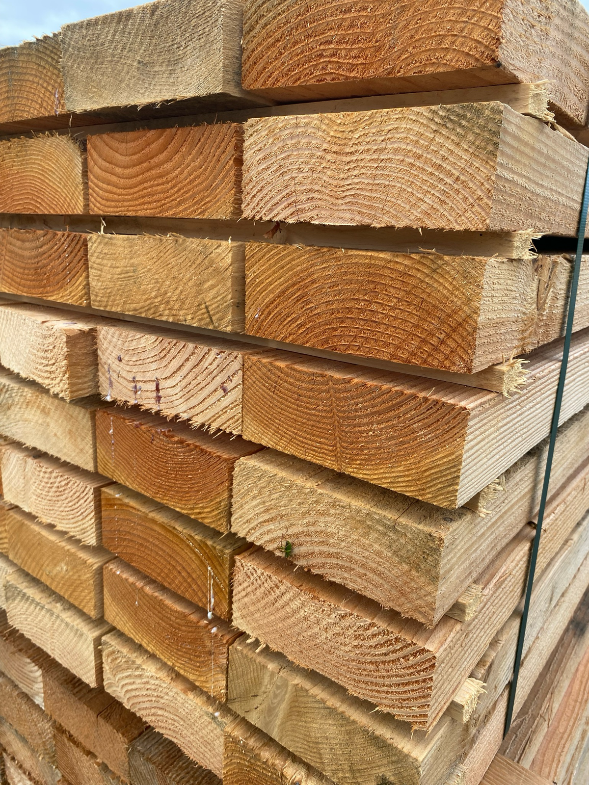 Bastaing Douglas 63x175mm