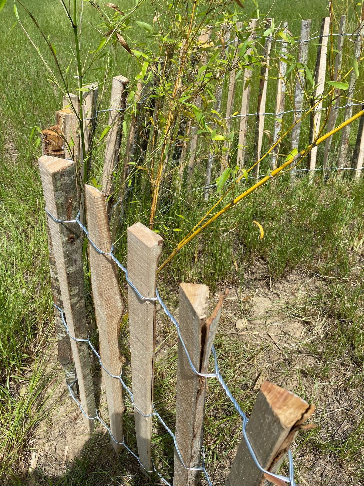 Ganivelle sciée non écorcée en châtaignier – Clôture naturelle